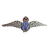 Royal Air Force Sweetheart Wings Military Badge Nickel Lapel Pin Set x 3