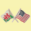 Wales United States Crossed Country Flags Friendship Enamel Lapel Pin Set x 3