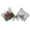 Wales Rhone Alps France Crossed Flags Friendship Enamel Lapel Pin Set x 3