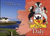 Daly Coat of Arms Irish Family Name Fridge Magnets Set of 10