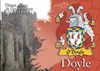 Doyle Coat of Arms Irish Family Name Fridge Magnets Set of 10