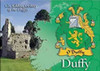 Duffy Coat of Arms Irish Family Name Fridge Magnets Set of 10