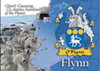 Flynn Coat of Arms Irish Family Name Fridge Magnets Set of 10
