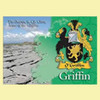 Griffin Coat of Arms Irish Family Name Fridge Magnets Set of 10