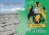 Griffin Coat of Arms Irish Family Name Fridge Magnets Set of 10