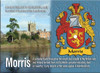 Morris Coat of Arms English Family Name Fridge Magnets Set of 10