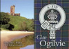Ogilvie Clan Badge Scottish Family Name Fridge Magnets Set of 10