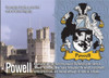 Powell Coat of Arms English Family Name Fridge Magnets Set of 10