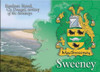 Sweeney Coat of Arms Irish Family Name Fridge Magnets Set of 10