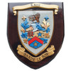 Custom Coat Of Arms Family Crest Hand Painted 10 x 8 Wooden Wall Plaque 