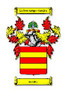 Accotts Irish Coat of Arms Large Print Accotts Irish Family Crest
