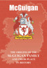 McGuigan Coat Of Arms History Irish Family Name Origins Mini Book