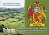 Roberts Coat of Arms English Family Name Fridge Magnets Set of 4