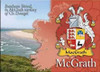 McGrath Coat of Arms Irish Family Name Fridge Magnets Set of 2