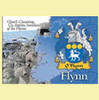 Flynn Coat of Arms Irish Family Name Fridge Magnets Set of 2