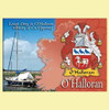 O'Halloran Coat of Arms Irish Family Name Fridge Magnets Set of 2