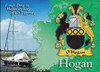 Hogan Coat of Arms Irish Family Name Fridge Magnets Set of 2