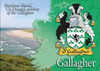 Gallagher Coat of Arms Irish Family Name Fridge Magnets Set of 2