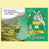 Quinn Coat of Arms Irish Family Name Fridge Magnets Set of 2
