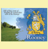Rooney Coat of Arms Irish Family Name Fridge Magnets Set of 2