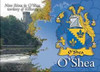 O'Shea Coat of Arms Irish Family Name Fridge Magnets Set of 2