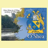 O'Shea Coat of Arms Irish Family Name Fridge Magnets Set of 2