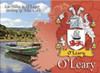 O'Leary Coat of Arms Irish Family Name Fridge Magnets Set of 4