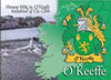 O'Keeffe Coat of Arms Irish Family Name Fridge Magnets Set of 2