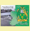 O'Keeffe Coat of Arms Irish Family Name Fridge Magnets Set of 2