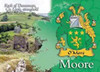 Moore Coat of Arms Irish Family Name Fridge Magnets Set of 4