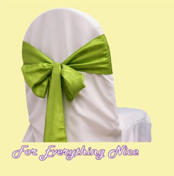 Taffeta Crinkle Sashes Hire