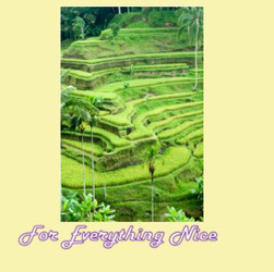 Nature Wooden Puzzles