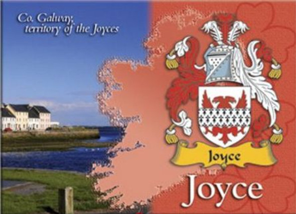 Joyce  Coat of Arms Irish Family Name Fridge Magnets Set of 2