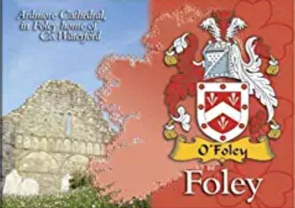 Foley Coat of Arms Irish Family Name Fridge Magnets Set of 4