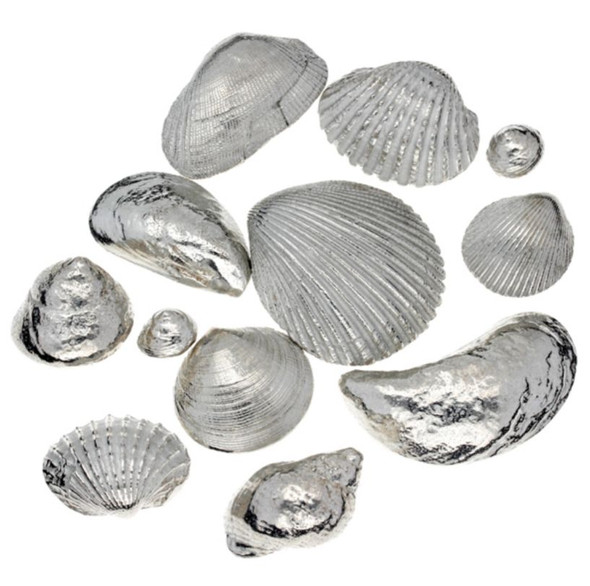 Memories From The Seaside Twelve Seashells Stylish Pewter Set 
