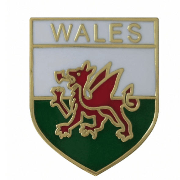 Wales Welsh Dragon Shield Enamel Badge Lapel Pin Set x 3