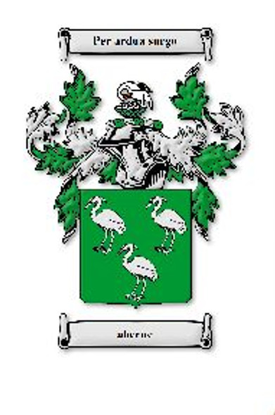 Aherne Irish Coat Of Arms Family Crest Paper Poster
