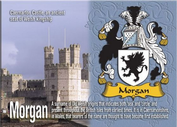 Morgan Coat of Arms English Family Name Fridge Magnets Set of 10