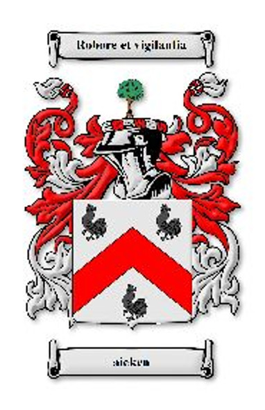 Aicken Irish Coat Of Arms Family Crest Paper Poster