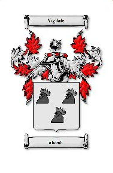 Alcock Irish Coat Of Arms Family Crest Paper Poster