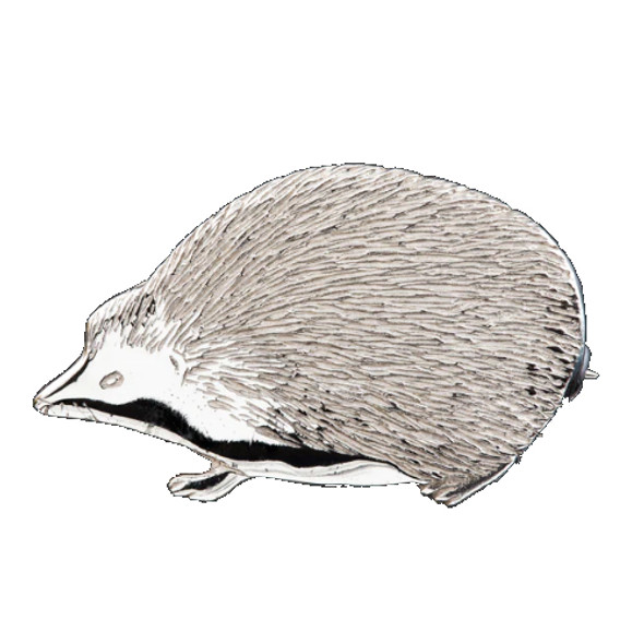 Hedgehog Animal Design Small Sterling Silver Brooch
