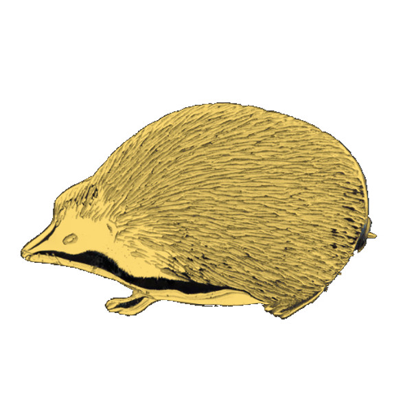 Hedgehog Animal Design Small 9K Yellow Gold Brooch