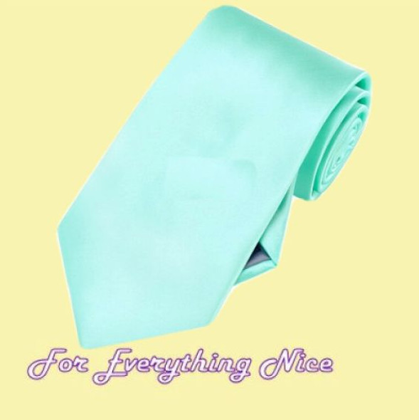 Light Mint Green Formal Groomsmen Groom Wedding Straight Mens Neck Tie