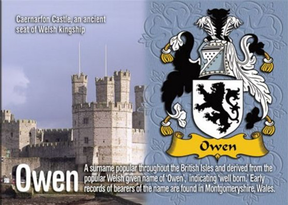 Owen Coat of Arms English Family Name Fridge Magnets Set of 2
