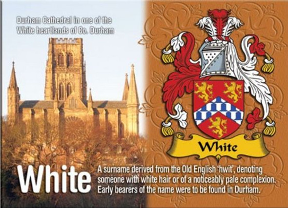 White Coat of Arms English Family Name Fridge Magnets Set of 2