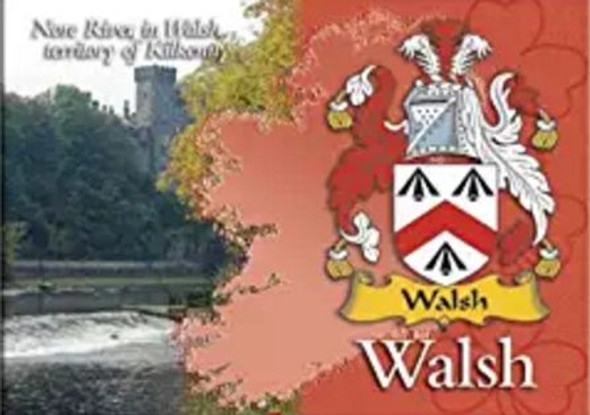 Walsh Coat of Arms Irish Family Name Fridge Magnets Set of 2