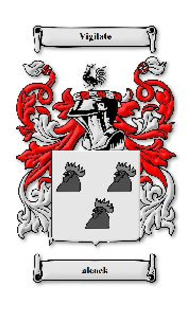 Alcock Irish Coat Of Arms Family Crest Paper Poster