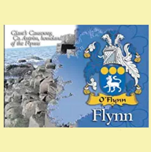 Flynn Coat of Arms Irish Family Name Fridge Magnets Set of 2