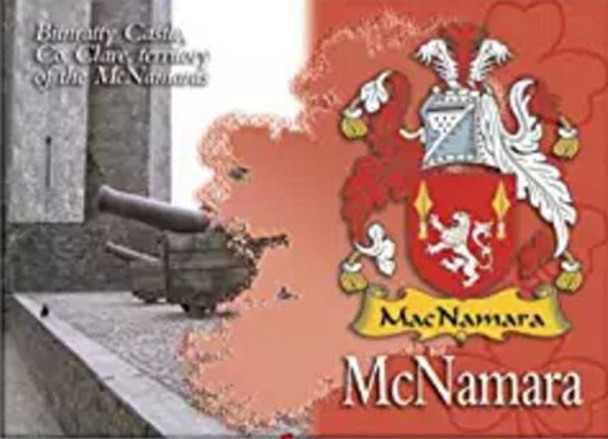 McNamara Coat of Arms Irish Family Name Fridge Magnets Set of 4