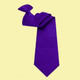 Clip-On Ties
